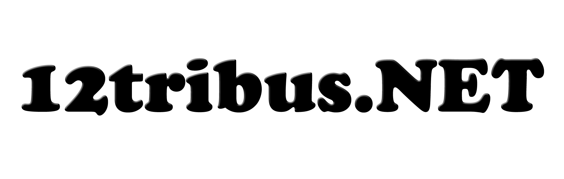 12 Tribus de Israel .NETWORK